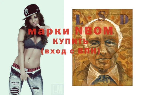мет Алексин