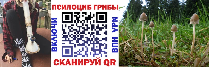 купить наркоту  Темрюк  Галлюциногенные грибы мухоморы 